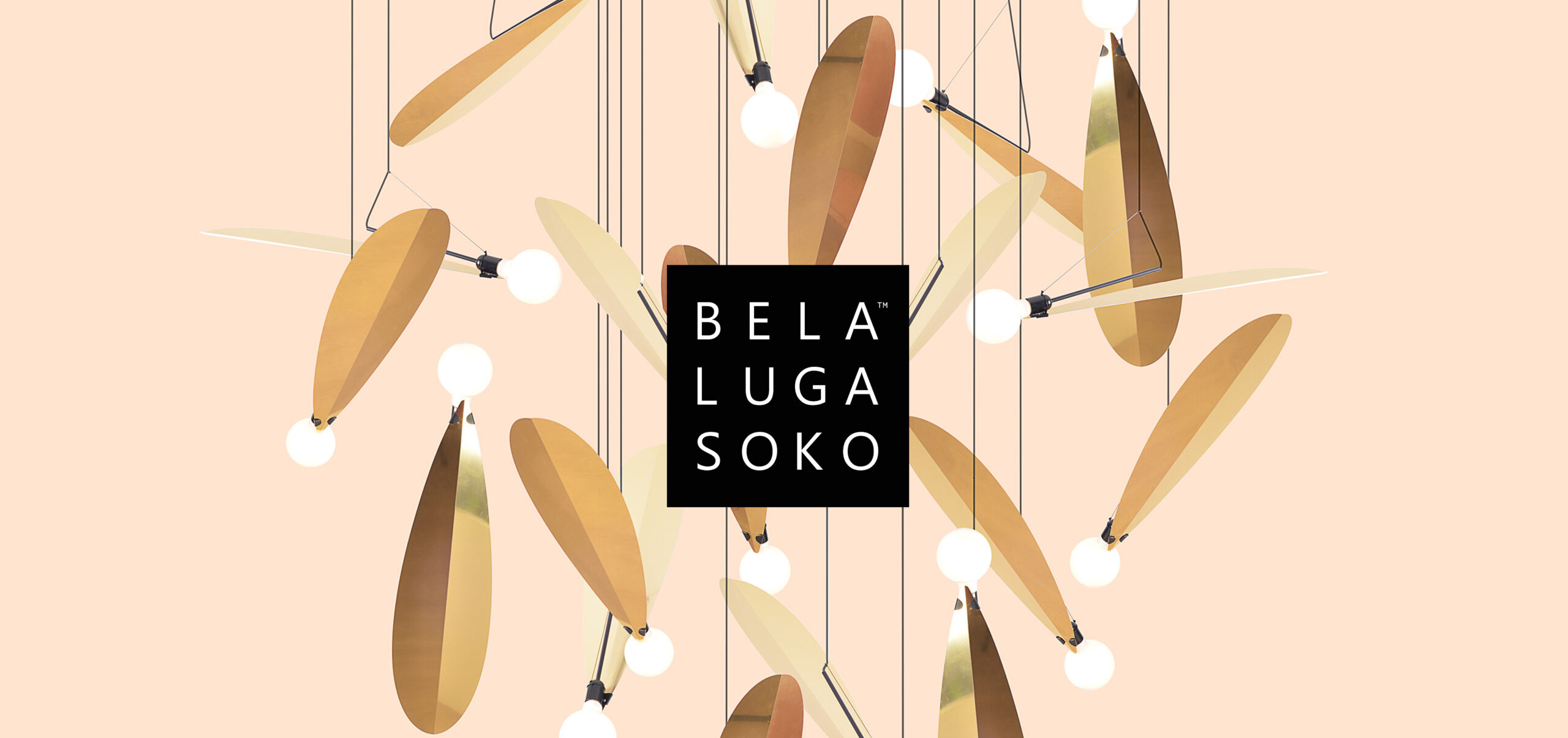 BelaLugaSoko_Accueil_03 BelaLugaSoko_Accueil_03